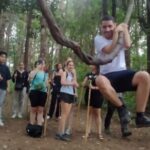From Chiang Mai: Doi Inthanon Park & Pha Dok Siew Waterfall Hike - Exploring the Itinerary in Detail