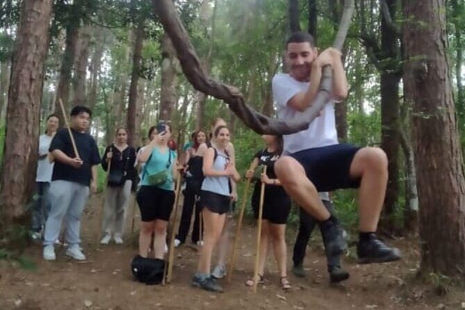 From Chiang Mai: Doi Inthanon Park & Pha Dok Siew Waterfall Hike - Exploring the Itinerary in Detail