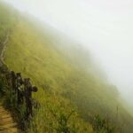 From Chiang Mai: Doi Inthanon Park, Waterfall & Lunch Tour - What Makes This Tour a Good Choice?