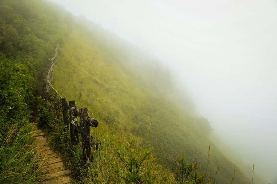 From Chiang Mai: Doi Inthanon Park, Waterfall & Lunch Tour - What Makes This Tour a Good Choice?