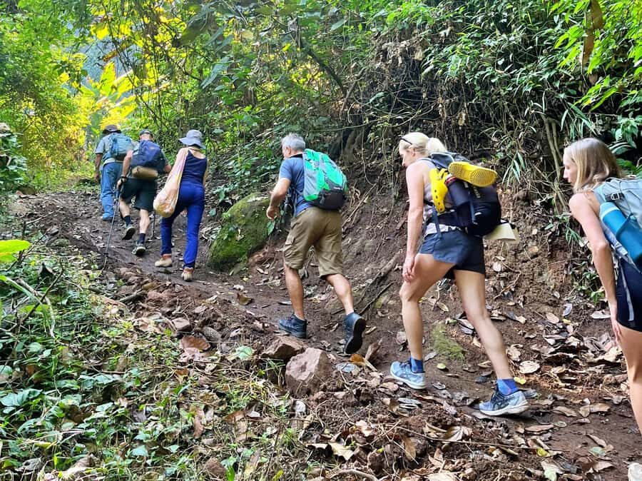 From Chiang Mai: High Mountain Day Trek - The Hike: Trails and Terrain