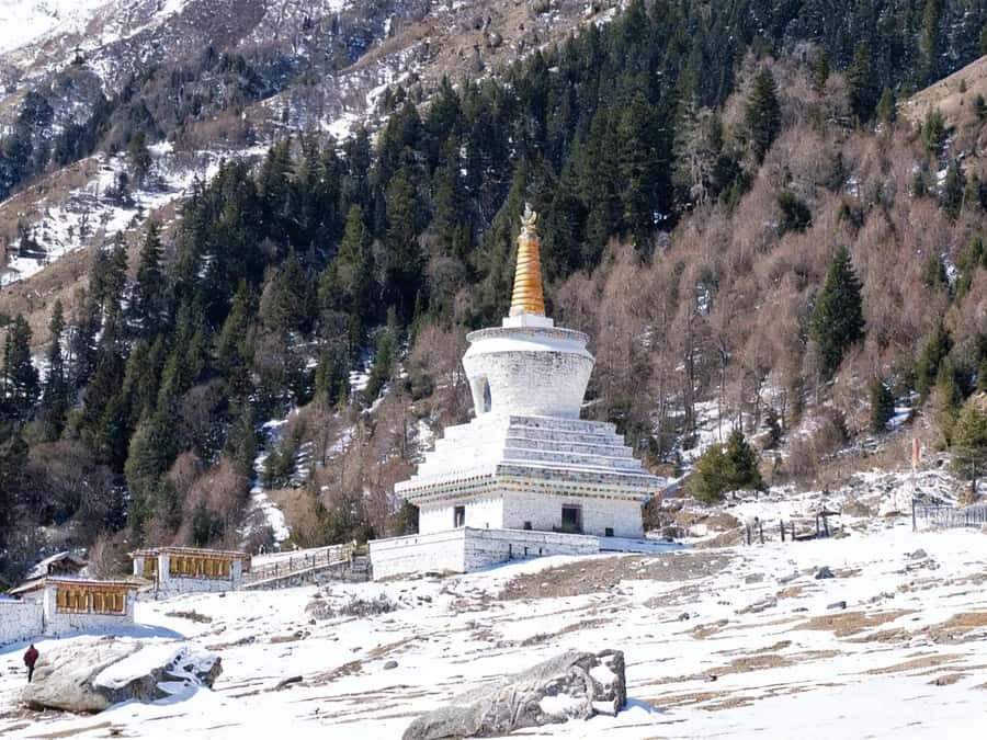 From Chongqing: 2-Day Siguniang Mountain Winter Tour - Who Should Consider This Tour?