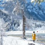 From Chongqing Winter 2-Day Bipenggou Snow Tour - Exploring Bipenggou: A Snow-Covered Paradise