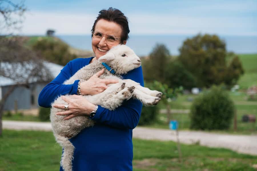 From Christchurch: Sheep Farm Experience with Lunch & Winery - Exploring the Sheep Farm: What to Expect