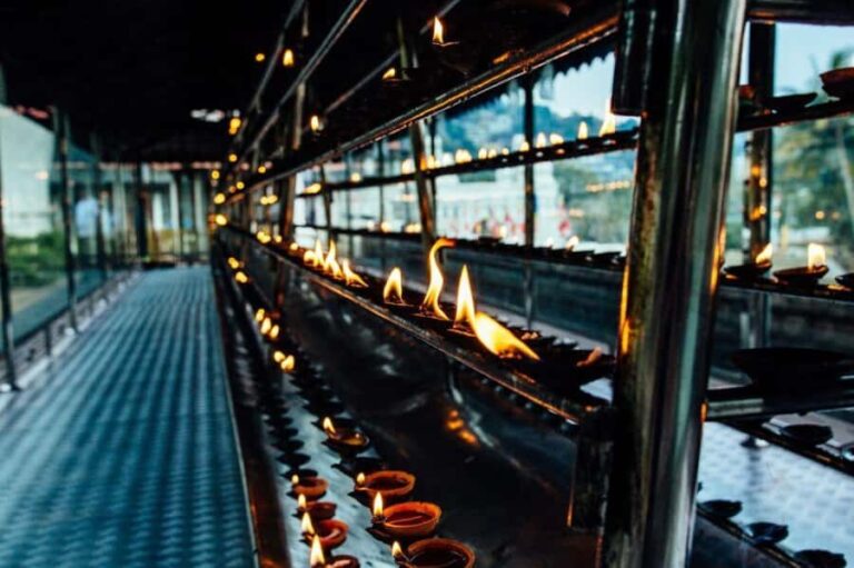 From Colombo & Negombo: Elephant Orphange and Kandy day Trip - What Travelers Say