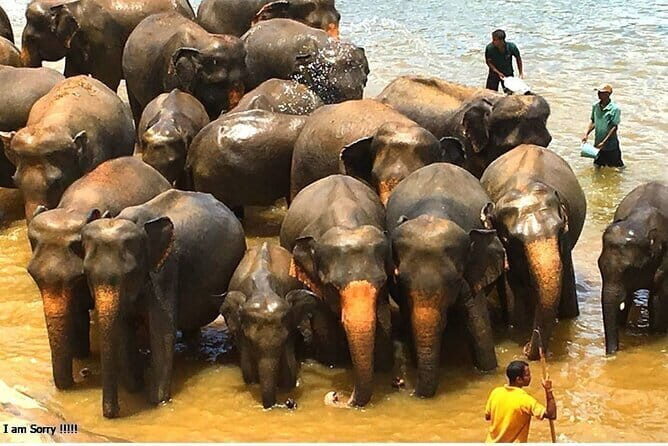 From Colombo: Overnight Tour to Kandy and Transfer to Sigiriya - Final Thoughts