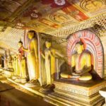 From Colombo: Sigiriya, Dambulla & Safari Day Trip - Starting Early for a Full Day of Discovery