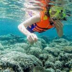 From Da Nang/ Hoi An: Cham Island Day Tour with snorkeling fun - FAQ