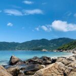 From Da Nang or Hoi An Cham Island Snorkeling Day Tour and Lunch - Transportation & Group Size