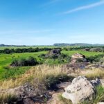 From Darwin: Kakadu 2-Day Tour - An In-Depth Review of the Kakadu 2-Day Tour