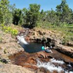 From Darwin: Litchfield National Park Small-Group Day Trip - Waterfalls & Waterholes: Swimming & Scenic Walks