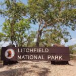 From Darwin: Litchfield National Park & Waterfalls Day Trip - Wildlife and River Cruise at Adelaide River