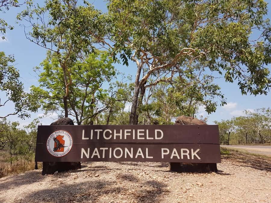 From Darwin: Litchfield National Park & Waterfalls Day Trip - Wildlife and River Cruise at Adelaide River