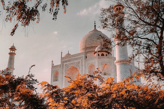 From Delhi: 2 Day Golden Triangle Tour India - Who Is This Tour Best For?