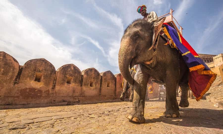 From Delhi: Same Day Jaipur City Tour By Car - All Inclusive - Why This Tour Offers Great Value