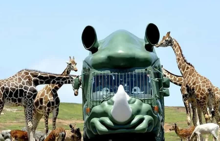 From Fukuoka: Yufuin, Beppu, Wildlife Park & Onsen Day Trip - Who Would Love This Tour?