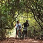 From Galle: All Inclusive Countryside Cycling Tour - Deep Dive into the Experience