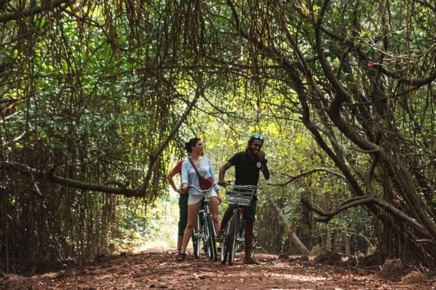 From Galle: All Inclusive Countryside Cycling Tour - Deep Dive into the Experience