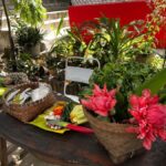 From Garden to Table: Indonesian Cooking Class in Yogyakarta - A Deep Dive into the Experience