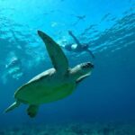 From Gili Air : 3 Islands Snorkeling Trip with Sea Turtles - Who Is This Tour Best For?
