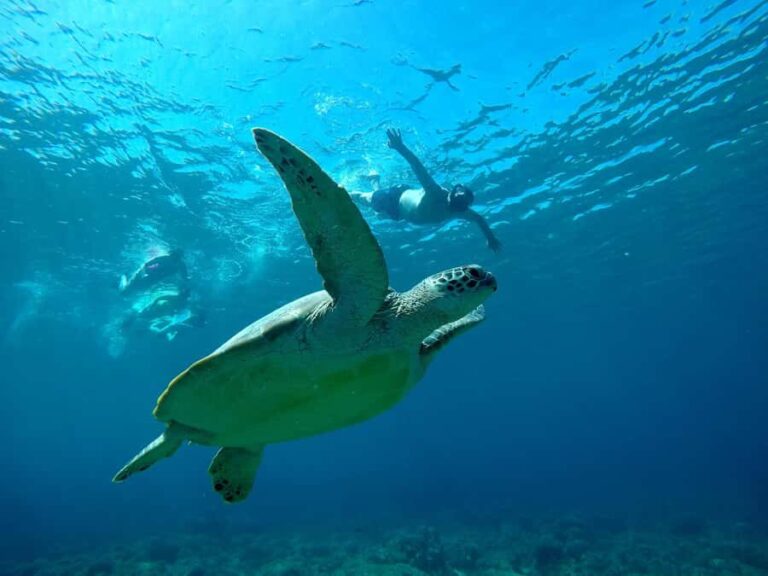From Gili Air : 3 Islands Snorkeling Trip with Sea Turtles - Who Is This Tour Best For?