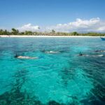From Gili Air: Private or Small Group Snorkeling Boat Tour - Authentic Reviewer Insights