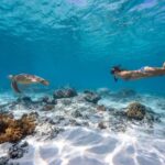 From Gili Meno: Private & Group Gili Islands Snorkeling - An In-Depth Look at the Gili Islands Snorkeling Tour