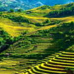 From Ha Giang: Motorbike Tour 3D2N (Small Group with Easy Riders) - Day-by-Day Breakdown