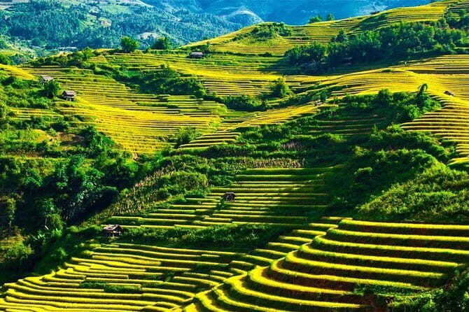 From Ha Giang: Motorbike Tour 3D2N (Small Group with Easy Riders) - Day-by-Day Breakdown