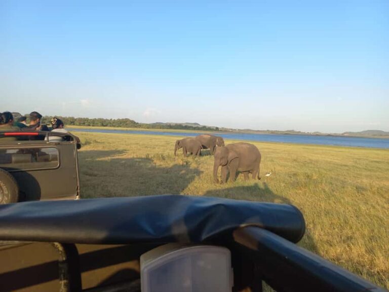 From Habarana: Minneriya National Park 4x4 Jeep Safari - Why This Tour Offers Great Value