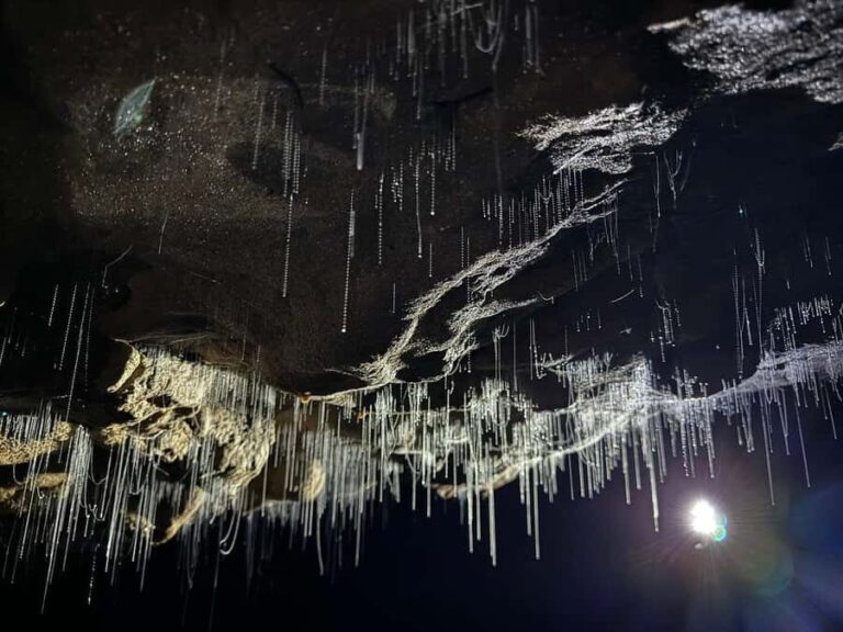 From Hamilton: Waitomo Glowworm Caves Explorer Small Group - Practical Details and What You Need to Know