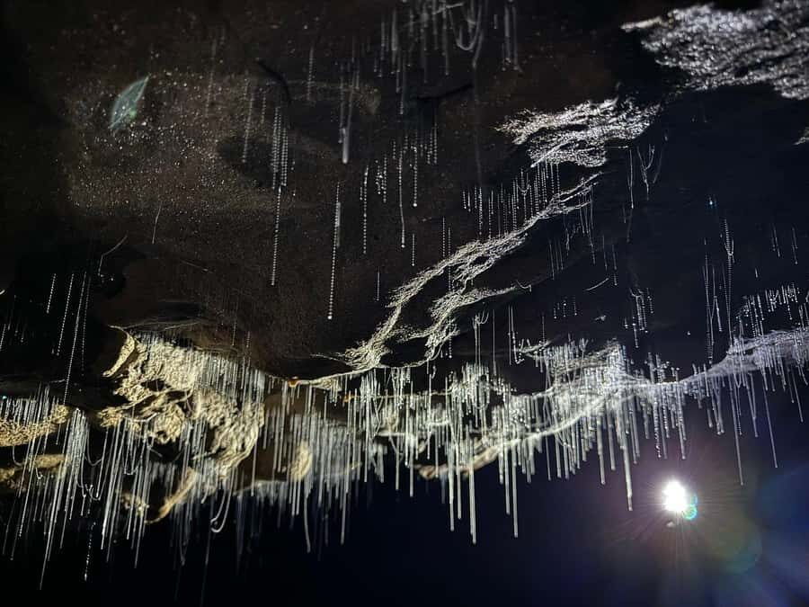 From Hamilton: Waitomo Glowworm Caves Explorer Small Group - Practical Details and What You Need to Know