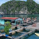 From Hanoi: 2 Days Adventure in the National Park and Lan Ha Bay - Who Should Consider This Tour?