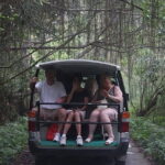 From Hanoi: Cat Ba Island- Lan Ha Bay Day Trip on Luxury Cruise - Who Will Love This Tour?