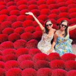 From Hanoi: Explore Incense Village, Conical Hat & Lacquer Art - FAQ: Your Practical Questions Answered