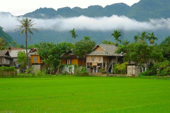 From Hanoi: Explore Mai Chaus Rural Villages & Scenic Valleys - Authentic Experiences That Stand Out