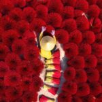 From Hanoi: Half-Day Tour to Incense Village & Conical Hat Craft - The Practicalities