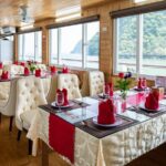 From Hanoi: Halong Bay Full Day Cruise, Titop Island, Caves,Kayak - The Practical Side: What to Expect