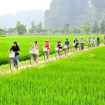 From Hanoi: Hoa Lu, Trang An, Mua Cave &Cycling in Ninh Binh - Authentic Experiences Based on Review Insights