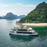 From Hanoi: Luxury Cruise Discover Halong Bay & Buffet Lunch - Who Will Love This Tour?