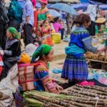 From HANOI: Sapa and Bac Ha Market 2 Days Tour, Depart Saturday - Transportation and Comfort