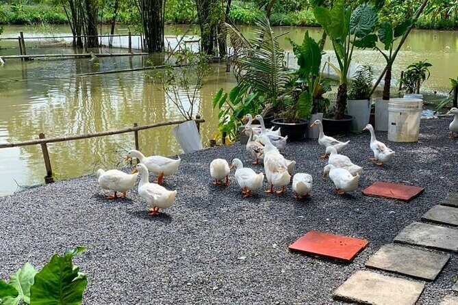 From Hanoi: Scenic Ninh Binh Motorbike Tour to Hidden Treasures - Who Will Love This Tour?