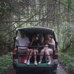 From Hanoi: Serenity Grandeur Luxury Day Cruise to Lan Ha Bay - Arrival at Cat Ba Island: First Impressions