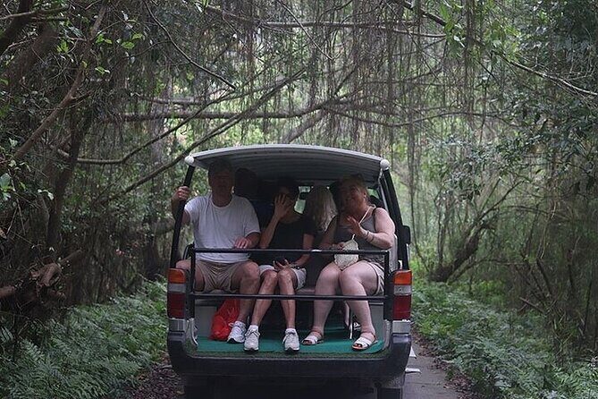 From Hanoi: Serenity Grandeur Luxury Day Cruise to Lan Ha Bay - Arrival at Cat Ba Island: First Impressions