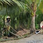 From HCMCMekong Delta Eco Tour: Non-Touristy & Small Group - Why This Tour Works