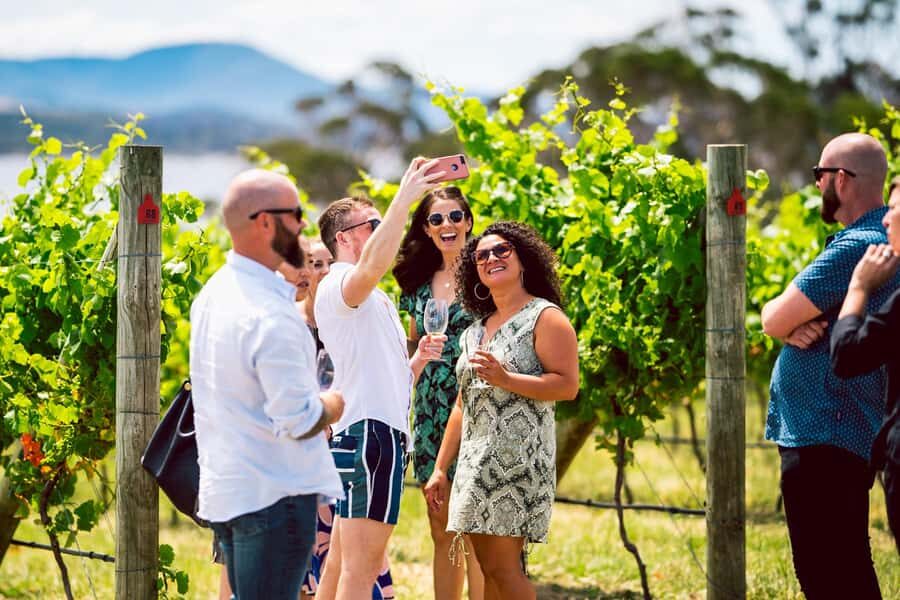 From Hobart: Tasmanian Wine Tour - Deep Dive into the Itinerary
