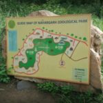 From Jaipur: Nahargarh Lion Safari Biological Park Tour - Exploring the Jaipur to Nahargarh Lion Safari Biological Park Tour in Detail