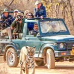 From Jaipur: Private Ranthambore Park Trip with Tiger Safari - The Journey from Jaipur to Ranthambore