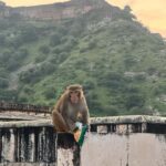 From Jaipur: Same Day Samode Village & Palace Tour - Practical Details and What to Expect