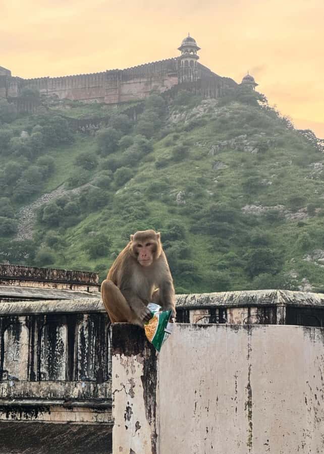 From Jaipur: Same Day Samode Village & Palace Tour - Practical Details and What to Expect